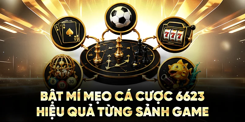 Bật mí mẹo cá cược 6623 hiệu quả từng sảnh game