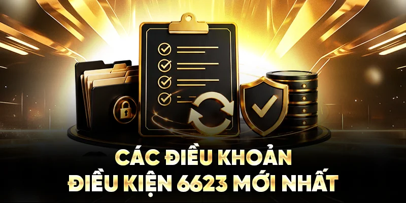 Các điều khoản điều kiện 6623 mới nhất