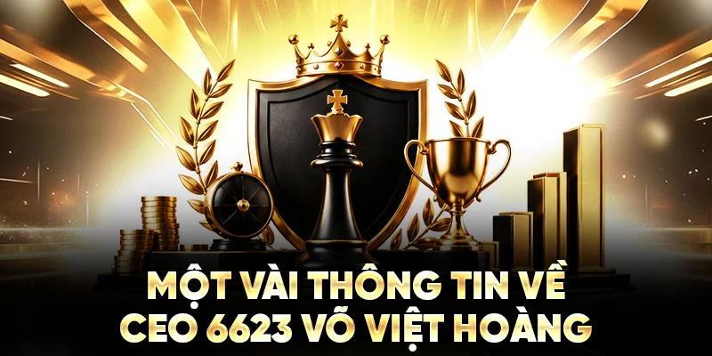 Một vài thông tin về CEO 6623 Võ Việt Hoàng